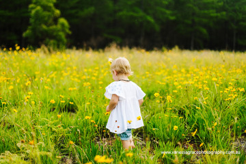 Our Wildflower