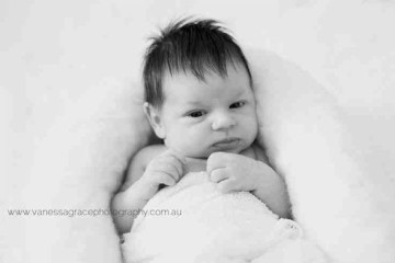 Toowoomba Newborn Photographer - Madison