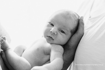 Baby Tucker - Toowoomba Newborn Photographer
